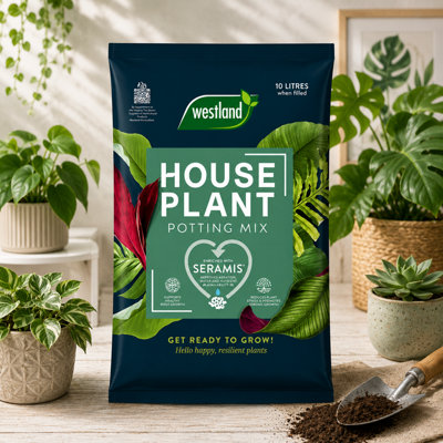 B&Q -  Westland Houseplant Potting Mix Compost 10L024979H158
