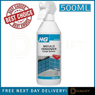 B&Q -  2X Hg Mould Remover Foam Spray 500Ml