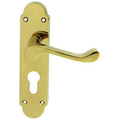  - Pair Victorian Upturned Lever On Euro Lock Backplate 170 X 42 Polished Brass