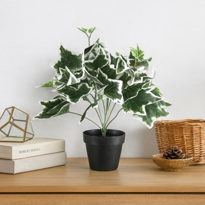 Decorative Artificial Ivy Plant In Pot 40Cm For Indoor Houseplant DecorVariegated White & Green Leaf from B&Q