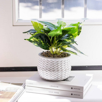 Artificial Epipremnum Aureum Plant In Decorative Jazzy Pot For Indoor Green Houseplant Decoration from B&Q