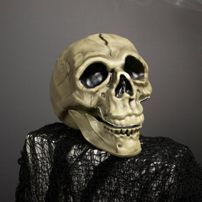 Halloween Decoration Skull Head from B&Q