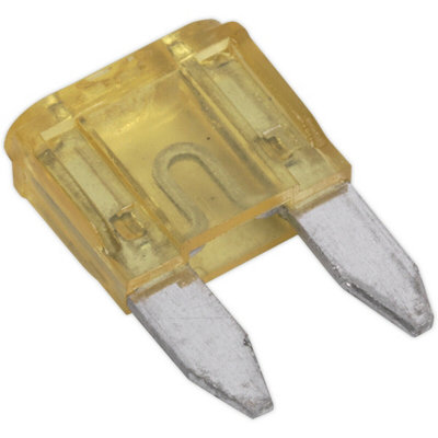 50 Pack 20A Automotive Mini Blade Fuses For VehiclesReliable Circuit Protection from B&Q