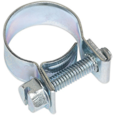 20 Pack Zinc Plated Mini Hose Clip14 To 16mm DiameterHose Pipe Clip Fixing from B&Q