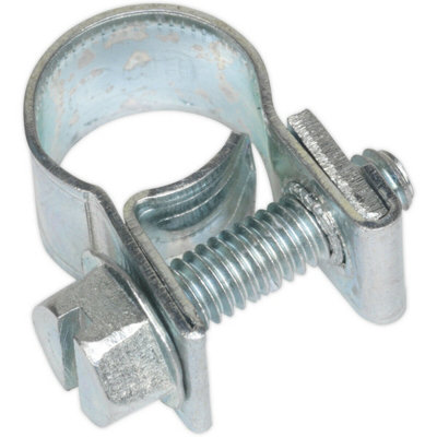 30 Pack Zinc Plated Mini Hose Clip8 To 10mm DiameterHose Pipe Clip Fixing from B&Q