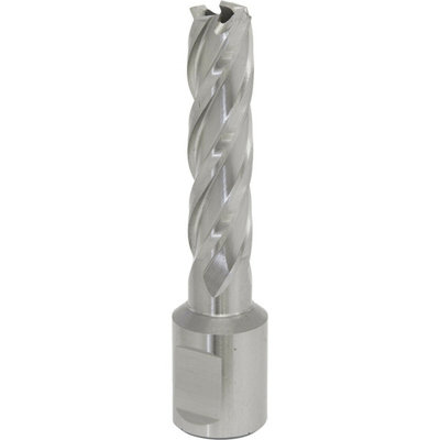 Premium 13mm X 50mm Rotabor CutterM2 Steel Annular Metal Core Drill With 19mm Shank from B&Q