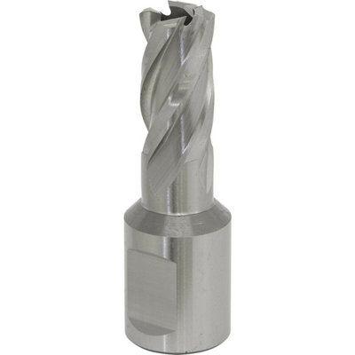 13mm X 25mm Depth Rotabor CutterM2 Steel Annular Metal Core Drill 19mm Shank from B&Q