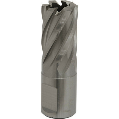 19mm X 25mm Depth Rotabor CutterHigh-Performance M2 Steel Core Drill With 19mm Shank from B&Q