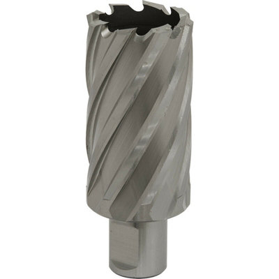 High-Performance 34mm X 50mm M2 Steel Rotabor Cutter With 19mm Weldon Shank from B&Q