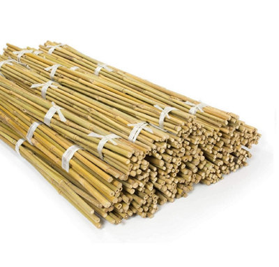 Heavy Duty Bamboo Canes5Ft Bamboo Garden Stakes For Plant (Pack Of 3012-14mm) from B&Q