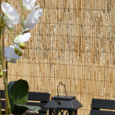 Abaseen Natural 1.5Mx4M Garden Screen Reed Fence from B&Q