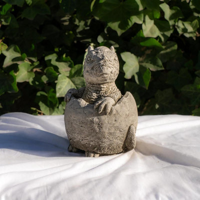 Oakley Small Stone Cast Baby Pachyceph Dinosaur Garden Sculpture from B&Q