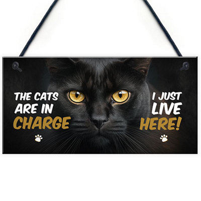 Red Ocean Funny Joke The Cats Are In Charge Cat Gifts For Cat Lovers Hanging Wall Sign Pet Gifts Pet Signs from B&Q