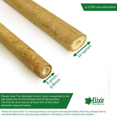 Elixir Garden Supplies Elixir Gardens Strong Heavy Duty Professional 4 Foot Bamboo Plant Support Garden Canes X50 from B&Q