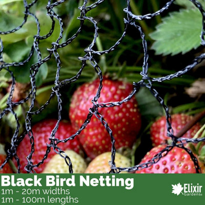 Elixir Garden Supplies Elixir Gardens Anti Bird Crop Protection Netting Black 6M X 40M from B&Q