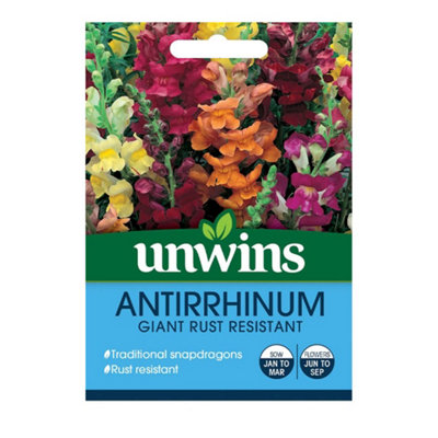 True Gifts Antirrhinum, Garden Flower Seeds Grow Your Own Colourful Flowers, Attract Butterflies & Bees B&Q