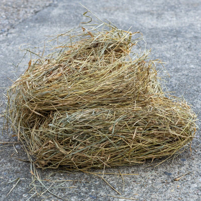 Woodside Natural Straw Pet Bedding 400G Hedgehog House Rabbit/guinea Pig Nesting Material from B&Q