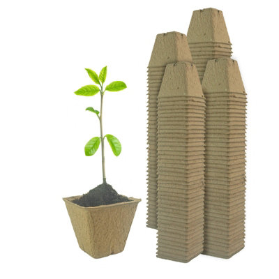 Woodside Compostable Plant Pots 6Cm 160 Pack Biodegradable Paper Seed Pots For Seedlings & Cuttings from B&Q
