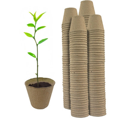Woodside Compostable Plant Pots 6Cm 160 Pack Biodegradable Paper Seed Pots For Seedlings & Cuttings from B&Q