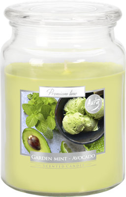 SolaDirect 18Oz Large Scented Candle In Glass Jar Fragrance Aromatic 100 Hr Burn Time (Garden Mint Avocado) from B&Q