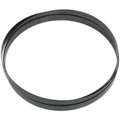 High-Performance Bi-Metal Bandsaw Blade 3035 X 25 X 0.89mm8 Tpi For Metal Cutting from B&Q