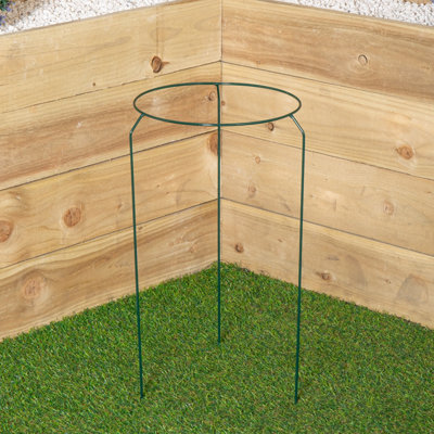 Samuel Alexander Tom Chambers Urban Metal Herbaceous Garden Plant Support Ring Medium 30Cm X 50Cm from B&Q