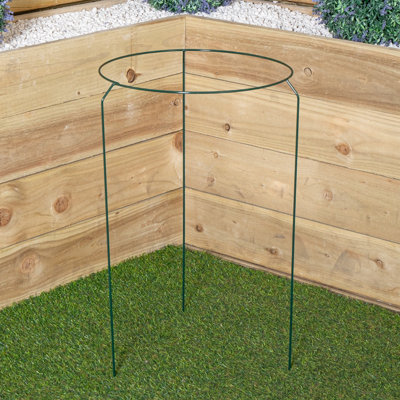 Samuel Alexander Tom Chambers Urban Metal Herbaceous Garden Plant Support Ring Large 40Cm X 60Cm from B&Q