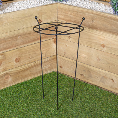 Samuel Alexander Tom Chambers Cottage Heavy Duty Black Metal Steel Herbaceous Garden Plant Support Grow Through Small 60Cm X 35Cm from B&Q