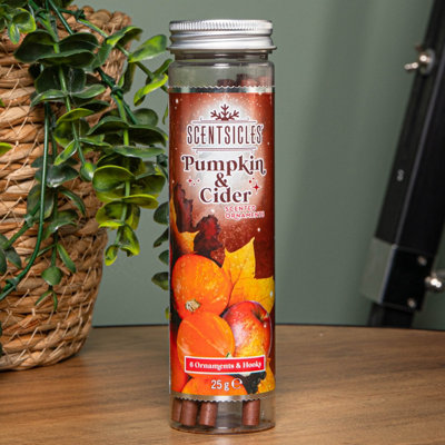 Samuel Alexander 25G Pumpkin And Cider Scented Christmas Scentsicles With 6 Hanging Hooks from B&Q