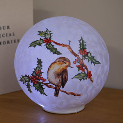 Samuel Alexander Light Up Christmas Glass Ball With Robin & 20 Cool White Leds - Image 8