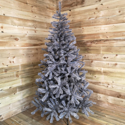 Samuel Alexander 7Ft (210Cm) Colorado Grey Spruce Christmas Tree from B&Q