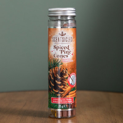 Samuel Alexander 25G Spiced Pine Cones Scented Christmas Scentsicles With 6 Hanging Hooks from B&Q