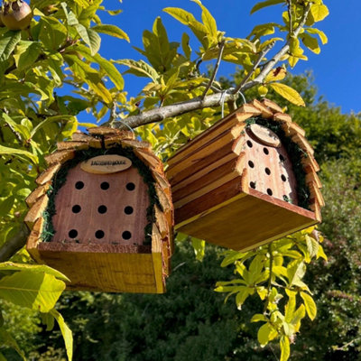 Selections Wooden Hanging Ladybird & Insect House (Set Of 2) from B&Q