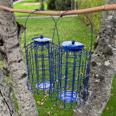 Selections Squirrel Proof Hanging Suet Fatball Bird Feeder (Set Of 2) from B&Q