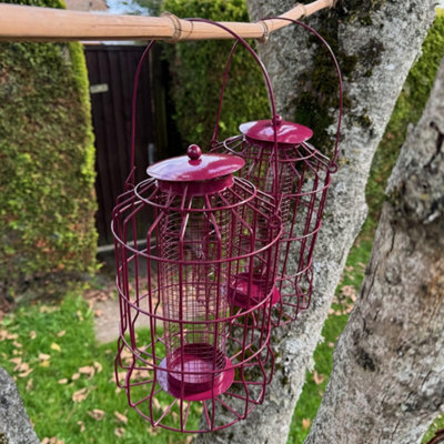 Selections Squirrel Proof Hanging Bird Nut Feeder (Set Of 2) from B&Q