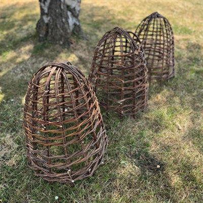 Selections Willow Herbaceous Plant Protection Cloches (Set Of 3) from B&Q
