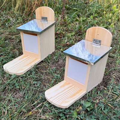 Selections Wooden Wall Mounted Squirrel Feeder With Feeding Platform & Metal Roof (Set Of 2) from B&Q