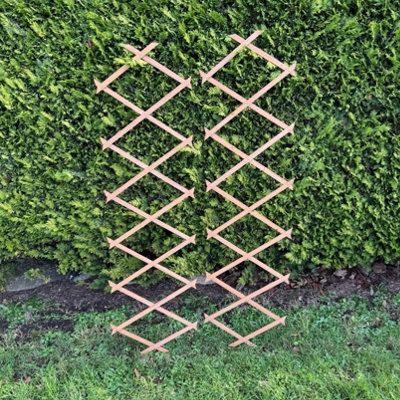 Selections Expanding Wooden Garden Trellis Plant Support (180Cm X 30Cm)Pack Of 2 from B&Q