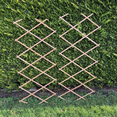 B&Q -  Expanding Wooden Garden Trellis Plant Support (180Cm X 60Cm)Pack Of 2