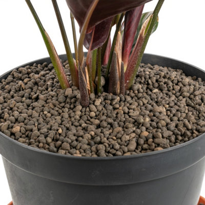 B&Q -  10L Growing Media-Clay Pebbles,1-4mmPot Plant Topper,hydroponics,washable & Reusable