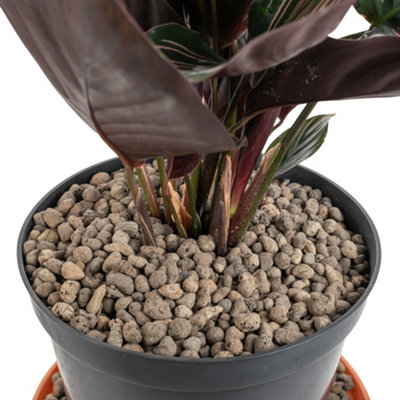 B&Q -  10L Growing Media-Clay Pebbles,4-8mmPot Plant Topper,hydroponics,washable & Reusable