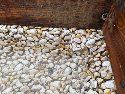 Cost Wise Pebble Effect Pvc Pond Liner 2.5M X2.5M,heavy Duty 450Gsm Garden Fish & Koi Pond / Wildlife Pool LinerUv Resistant from B&Q