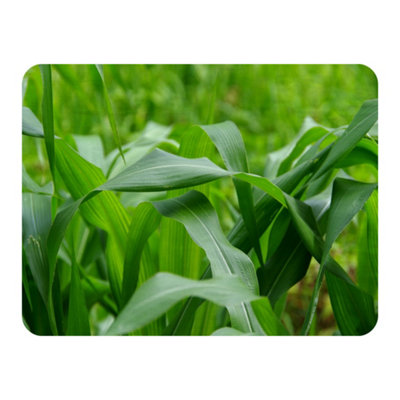 Andrew Lee Green Leaves Corn Fields As Background (Blanket) / Default Title from B&Q