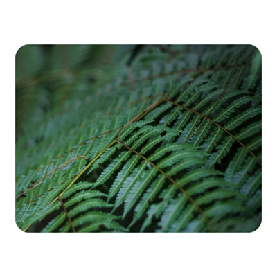 Andrew Lee Green Leaves Pattern And Texture At Indonesia (Blanket) / Default Title from B&Q