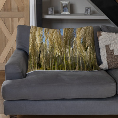 Andrew Lee Pampus Grass (Blanket) / Default Title from B&Q