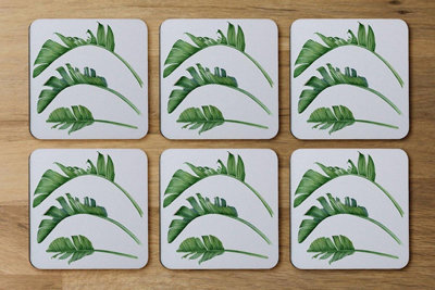 Andrew Lee Triple Botanical (Coaster) / Default Title from B&Q