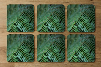 Andrew Lee Green Leaves Pattern And Texture At Indonesia (Coaster) / Default Title from B&Q