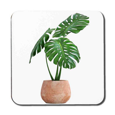 Andrew Lee Monstera Coaster Set / Default Title from B&Q