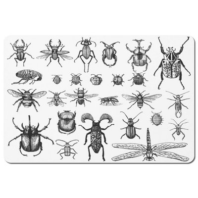 Andrew Lee Big Set Of Insects Bugs Beetles And BeesFleas Many Species In Vintage Old Hand Drawn Style (Placemat) / Default Title from B&Q