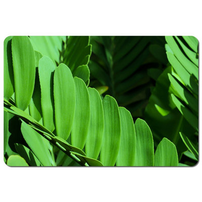 Andrew Lee Natural Dark Green LeavesLong Slender Green Leaves (Placemat) / Default Title from B&Q